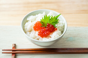 すじこを乗せたご飯