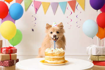 Cute dog wearing party hat at table with delicious birthday cake in decorated room