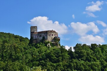 Fototapeta na wymiar Burg Greifenstein Nähe Wien, Österreich