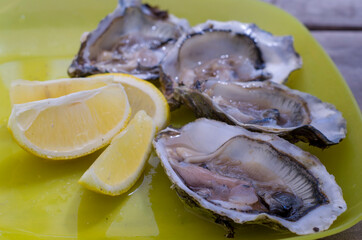 delicious fresh oysters with lemon