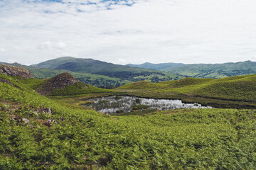 Fototapeta na wymiar landscape in the mountains Lily Tarn Lake District