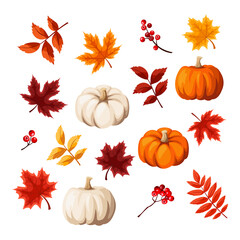 Vector set of autumn design elements. Autumn leaves and pumpkins isolated on a white background. - obrazy, fototapety, plakaty