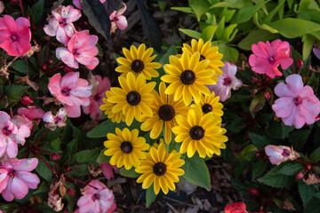 un ramo de margaritas amarillas con otras flores de colores debajo. 