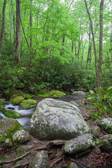 Roaring Fork, Great Smoky Mountains National Park
