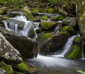 Naklejka na ściany i meble Roaring Fork, Great Smoky Mountains National Park