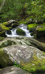 Fototapeta na wymiar Roaring Fork, Great Smoky Mountains National Park