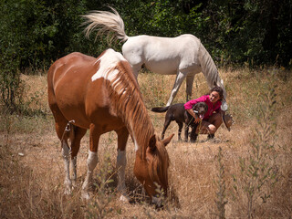 Female horse owner with her chocolate labrador retriever puppy looking at her horses graze.