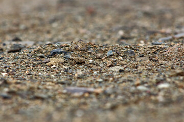 Sand and Stones