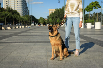 Woman with her aggressive dog on city street, closeup