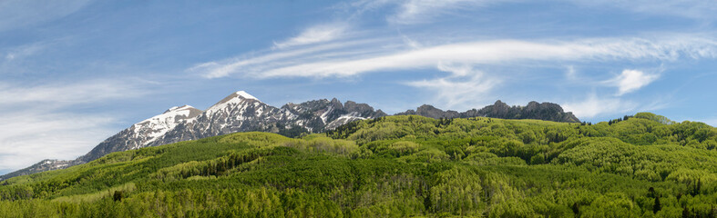 Fototapeta premium Spring Trees at the Ruby Range