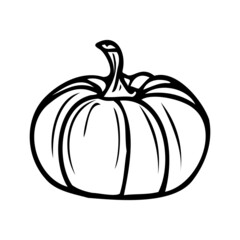 Pumpkin simple isolated. Pumpkin vector hand drawn illustration