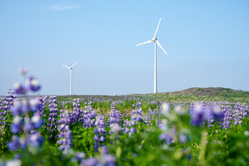 Modern wind farm on sunny day