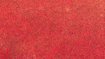 Fototapeta premium Close-up photo of red soft rug