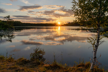 colorful sunset reflected in a calm lake landscape with green forest and reeds