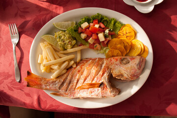 Grilled Red Snapper severed with French Fries, Plantain Chips and a Small Salad