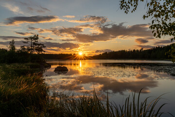 colorful sunset reflected in a calm lake landscape with green forest and reeds