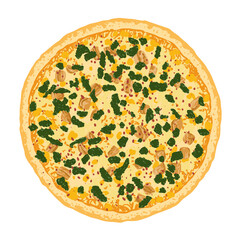 Pizza topped with chicken, cheese and spinach. Vector illustration of hand drawn pizza. 
