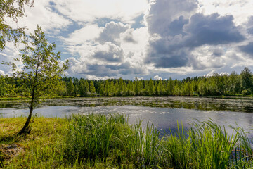 Fototapeta na wymiar peaceful idyllic lake landscape with lush green summer vegetation under a blue sky with white clouds