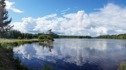 peaceful idyllic lake landscape with lush green summer vegetation under a blue sky with white clouds