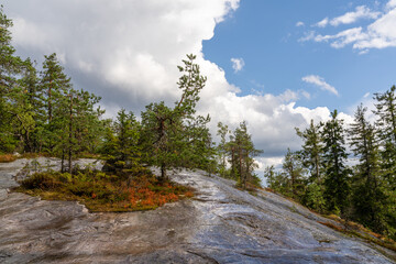 Fototapeta na wymiar taiga forest landscape with a large rock boulder in the foreground