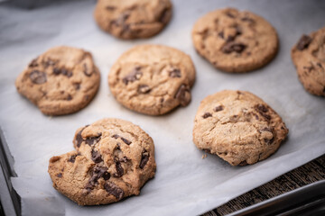 traditional chocolate chip cookie on cooking pan