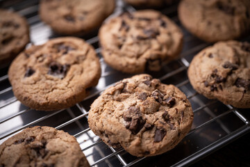 traditional chocolate chip cookie on cooking pan