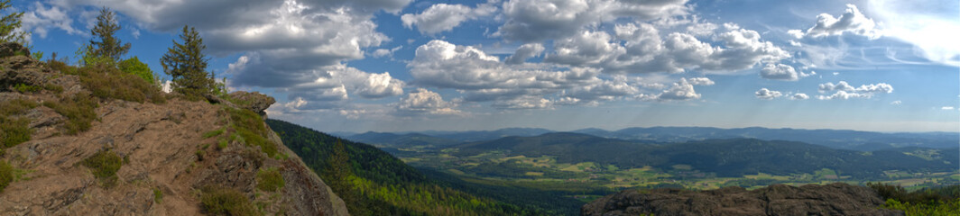 der bayrische Wald