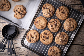 traditional chocolate chip cookie on cooking pan