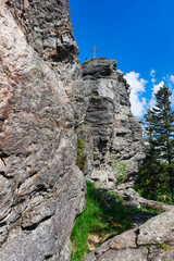 der bayrische Wald