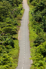 A huge straight in the road, on the remote island of Waiego, cuts through the rainforest, on the way to Warsambin, West Papua, Indonesia