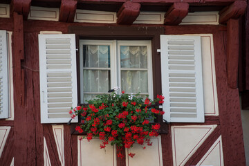 Fototapeta na wymiar closeup of red geraniums on medieval building facade in the street