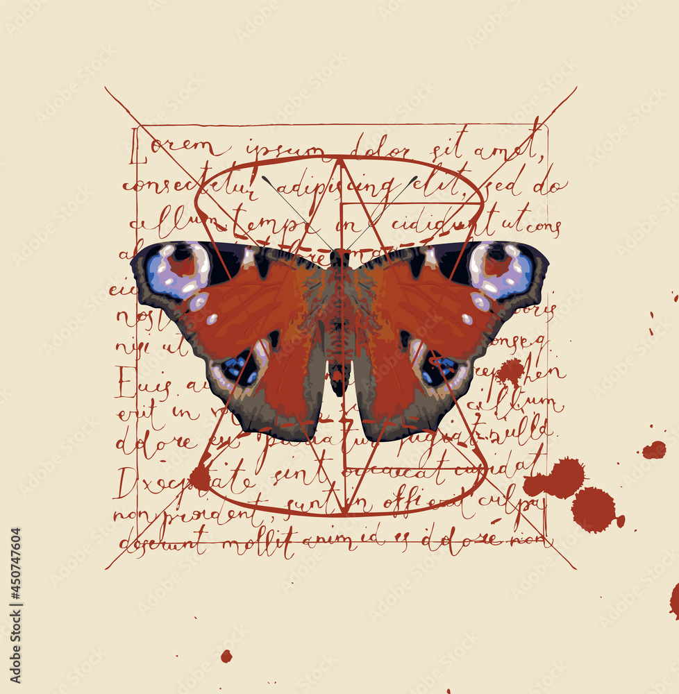 Poster square vector banner with a peacock eye butterfly on an old paper background with handwritten lorem 