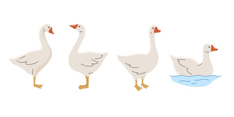 Domestic fowl. Cartoon vector illustration. Vector contour illustration of goose.