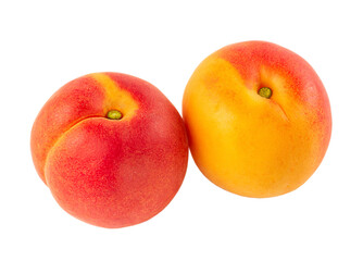 Two whole apricots isolated on a white background.