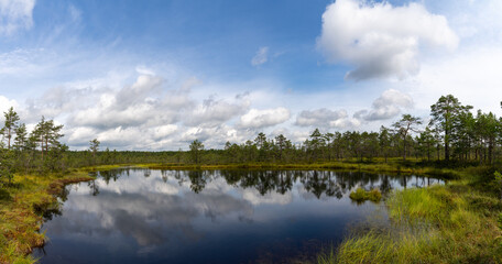 Fototapeta na wymiar peat bog and blue lake landscape under an expressive sky with white clouds
