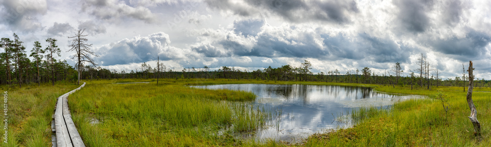 Sticker panorama view of a peat bog landscape and marsh with a wooden boardwalk nature trail