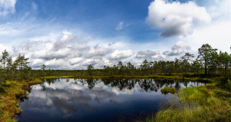 peat bog and blue lake landscape under an expressive sky with white clouds