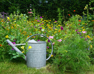 Beautiful wildflowers on a green meadow. in mid summer. with iron watering can. for butterflies and...