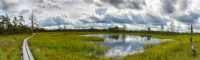 panorama view of a peat bog landscape and marsh with a wooden boardwalk nature trail
