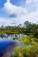 Obraz premium vertical view of a peat bog and blue lake landscape under an expressive sky with white clouds