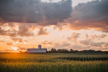 Sunrise over a barn and cornfield © Jamie