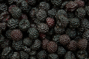 There are a lot of blackberries on the table. High quality photo