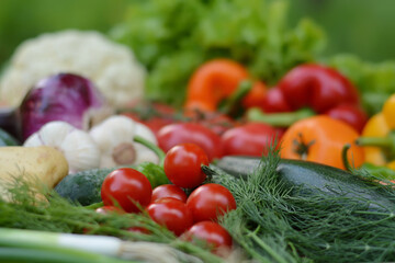 Colorful set organic food. Fresh raw vegetables. Healthy vegetarian food.Vegetarian eating concept