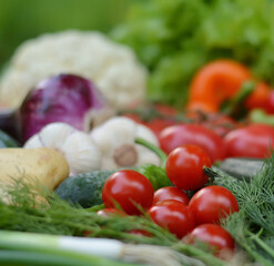 Colorful set organic food. Fresh raw vegetables. Healthy vegetarian food.Vegetarian eating concept