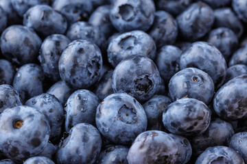 Fresh blueberry background. Blueberry Texture Close Blueberry Antioxidant Organic Superpeed Bowl Concept Healthy Nutrition
