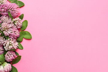 Beautiful clover flowers on pink background, flat lay. Space for text