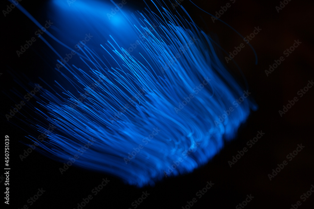 Wall mural blue abstract particles and lines with bokeh and blur in dark background.