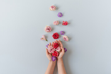 Woman hands hold rose flowers buds on blue background. Flat lay, top view spring hero header background.