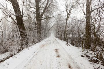 Obraz premium a road covered with snow in the winter season