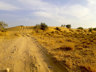 A picture of open desert areas and sand dunes in Thar desert, in Jaisalmer district of Rajasthan, India.